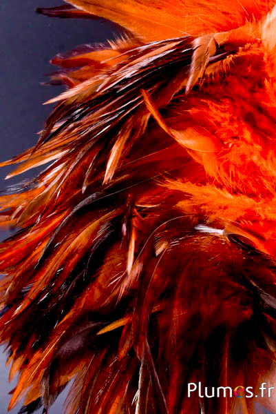 Fringe Haan - lange. veeren 10-15 cm - koffie